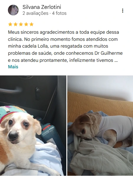 Avaliação 5 estrelas