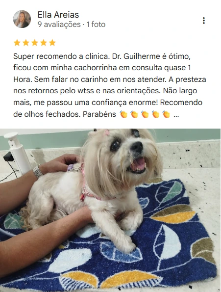 Avaliação 5 estrelas