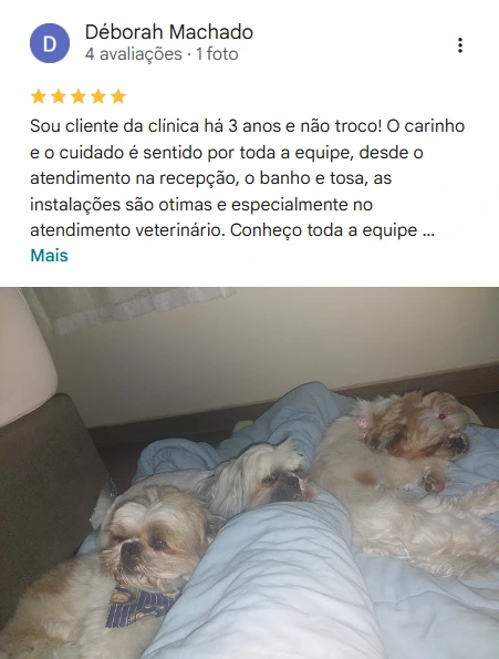 Avaliação 5 estrelas