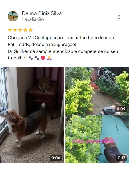 Avaliação 5 estrelas