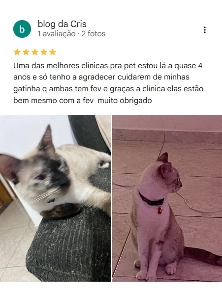 Avaliação 5 estrelas